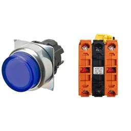 Omron A22NL-RPM-TAA-G202-AC