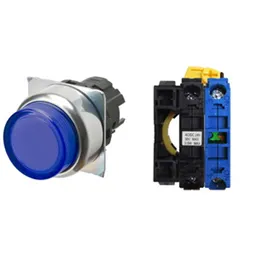 Omron A22NL-RPM-TAA-G100-AC