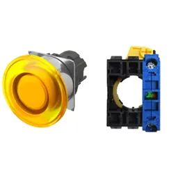 Omron A22NN-RMM-UYA-G100-NN