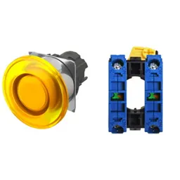 Omron A22NN-RMM-UYA-G101-NN