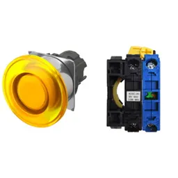 Omron A22NL-RMA-TYA-G100-YC