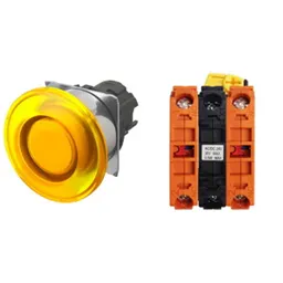 Omron A22NL-RMM-TYA-G202-YC