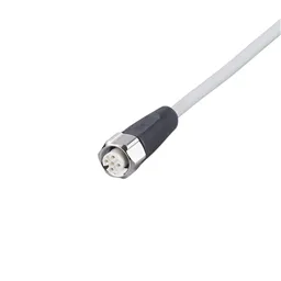 ifm EVF461