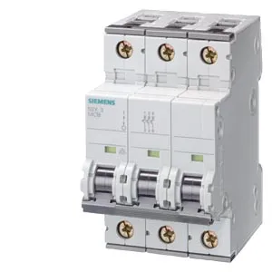 Siemens 5SY4306-8
